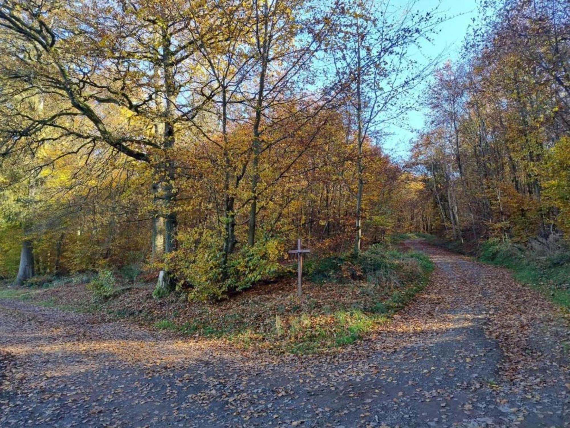 Apartment With Garden In A Wooded Setting Auw bei Prum Exteriör bild